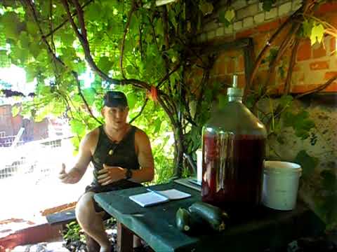 Видео: домашнее вино из крыжовника ч 2