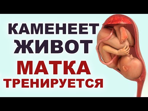 Видео: Почему каменеет живот. Тянет живот. Предвестники родов. Тренировочные схватки.