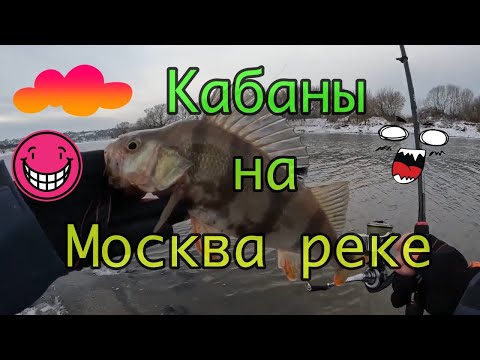 Видео: Как найти и поймать Окуня! Graphiteleader Finezza Prototype!