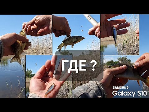 Видео: После нереста Карась болеет а я в поисках ГДЕ?