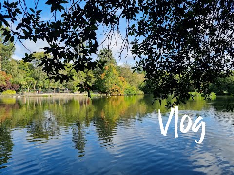 Видео: Vlog//Из лета в осень...