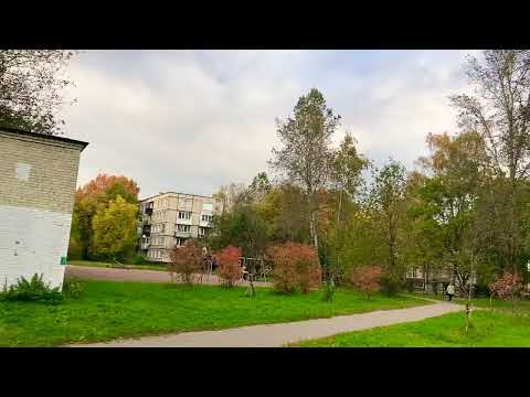 Видео: С добрым утром и днём и красоты осени и вдохновения 23.10.+8 счастья и любви 