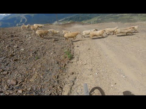 Видео: АРХЫЗ. МЕГАЛАВИНА 2025. ВЕРСИЯ 3030 М.
