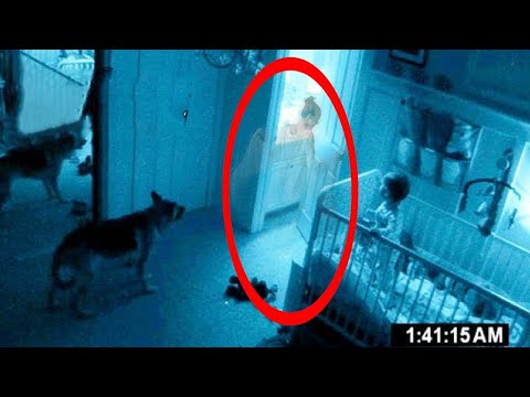 Видео: 10 Страшных Моментов Когда Животные Видят Призраков