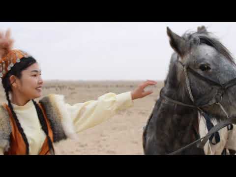 Видео: Таныстыру Кенжебекова Қымбат