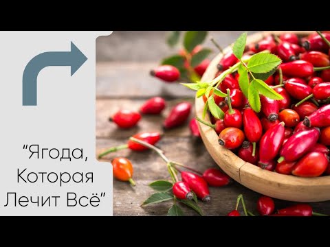Видео: Шиповник дома: Как вырастить   и получать витамины круглый год 🌞
