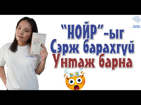 Видео: НОЙР-ыг СЭРЖ барахгүй, УНТАЖ барна.