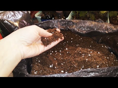 Видео: ТОРФ КЛАССМАН - ТАК ЛИ ХОРОШ,  КАК ЕГО ХВАЛЯТ?!👩‍🔧