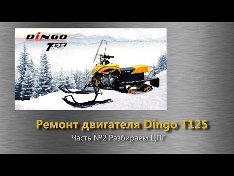 Видео: Dingo 125 ремонт двигателя. Часть 2. Разбираем ЦПГ