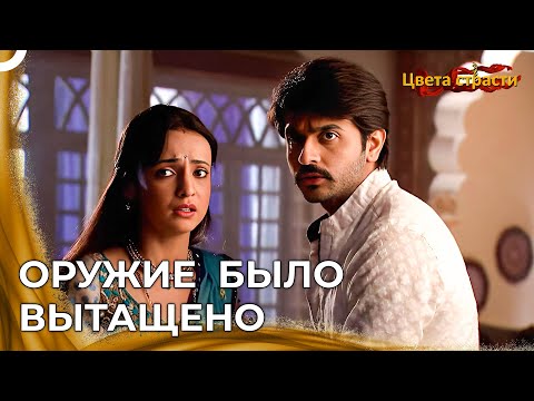 Видео: Жизнь Паро В Опасности | Цвета страсти