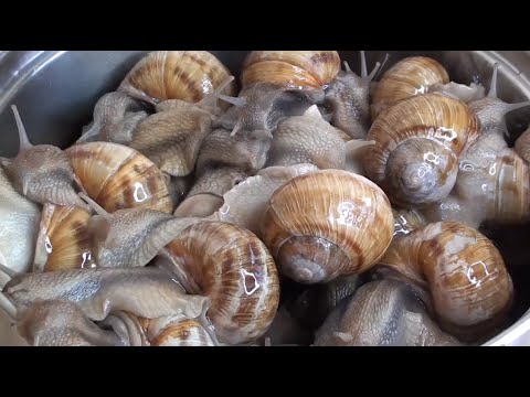 Видео: Два рецепти приготування равликів