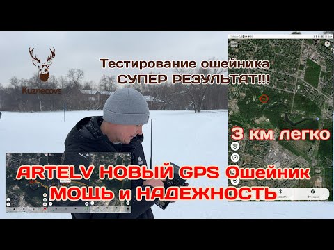 Видео: Супер тест новейшего GPS ошейника для собак (чтобы собаку не терять) #Artelv #охота