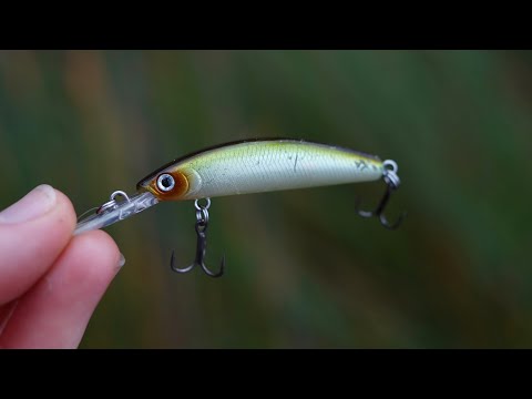 Видео: Рыболовные мелководные камнерезные бары с твердыми/мягкими пластиковыми приманками!!