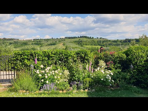 Видео: Май в моём саду под солнцем Тосканы...