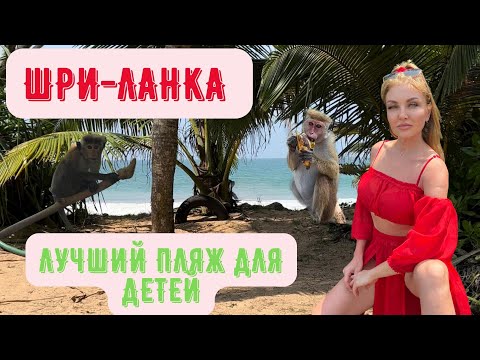 Видео: Шри ланка 2022! Джангл бич! Унаватуна! Обезьяны на пляже!