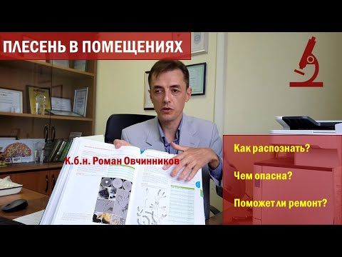 Видео: Проблема плесневых грибков в жилых помещениях. Отвечаю на вопросы. К.б.н. Роман Овчинников, 2023.