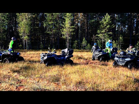 Видео: Очередной прохват с хорошей компанией