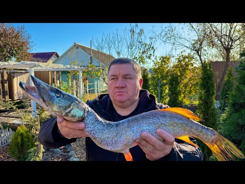 Видео: Щука в фольге на мангале!