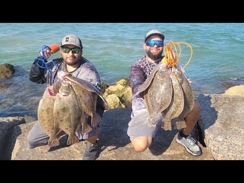 Видео: Ограничения на ловлю камбалы на осеннем причале (BIG FLOUNDER) (поймать и приготовить)