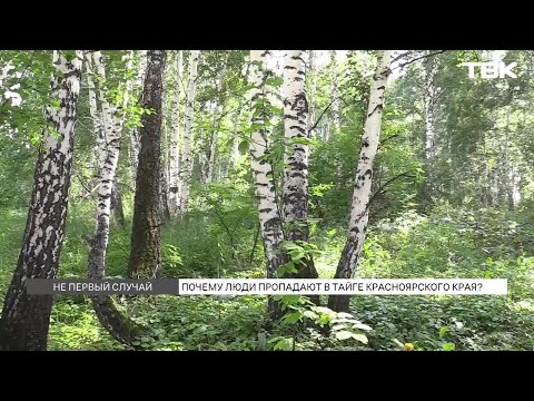 Видео: Почему в лесах Красноярского края стали чаще пропадать люди?