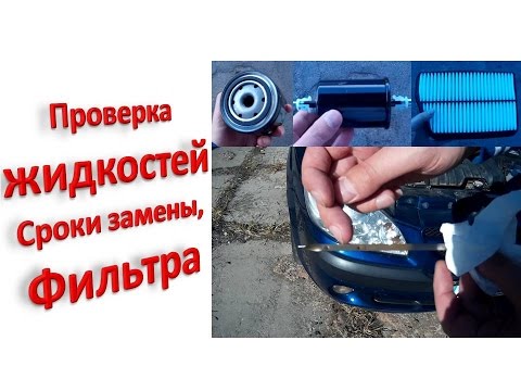 Видео: Проверка жидкостей, сроки замены, фильтра