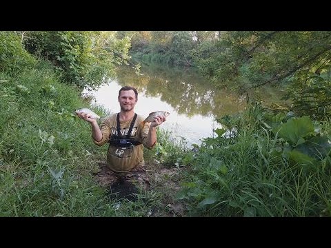 Видео: СТАРОЕ МЕСТО ОПЯТЬ БАЛУЕТ ТРОФЕЯМИ. Крупная рыба на горох и кукурузу. Рыбалка на поплавок в жару.