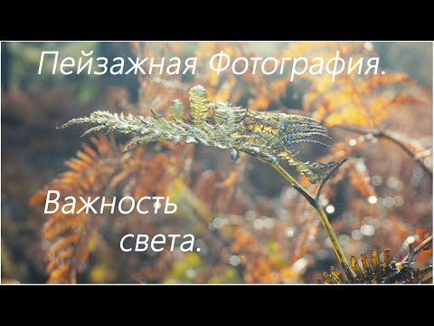 Видео: Пейзажная Фотография. Объект и свет.