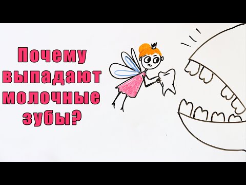 Видео: Почему выпадают молочные зубы?