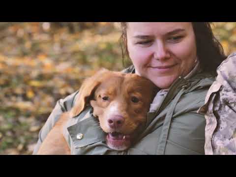 Видео: Толлер История одной семьи