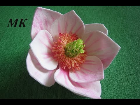 Видео: Цветы из фоамирана - Магнолия МК.DIY