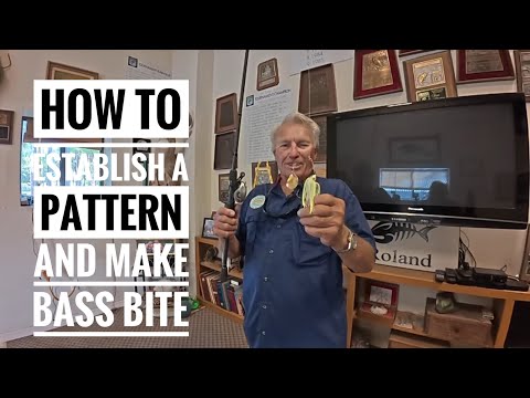 Видео: Как найти закономерность и заставить окуня клюнуть!