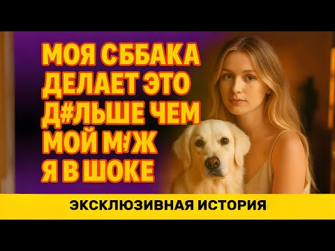 Видео: Пока муж был на службе, именно пес умел утешить моё тело и душу
