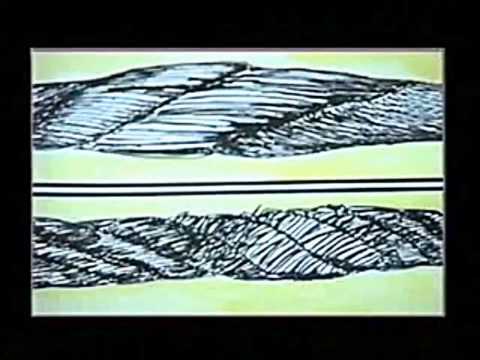 Видео: Ретровидео для стропальщика и крановщика (БПР)