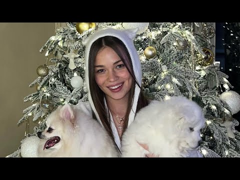 Видео: VLOG | у меня депрессия | взяли вторую собачку | лечу  в Москву