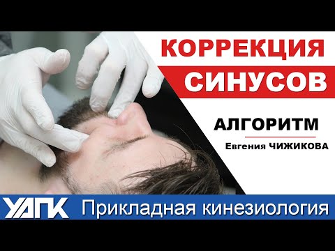 Видео: Коррекция синусов (Евгения Чижикова)