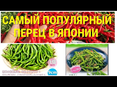 Видео: Японский Пряный Сладкий Струнный Перец Химо Тогараши — Himo Togarashi ひも唐辛子