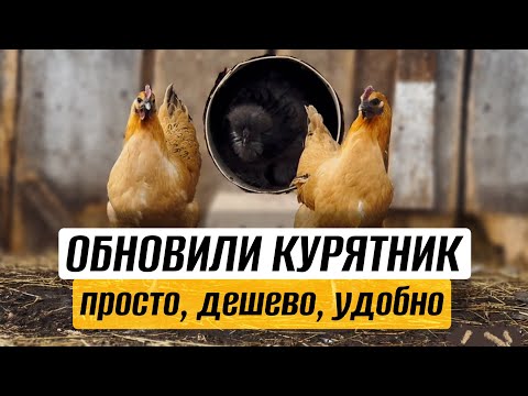 Видео: ХЕЙТЕРЫ, НОВЫЙ КУРЯТНИК, ФОРСМАЖОРЫ, КЛЕТКИ ДЛЯ БРОЙЛЕРОВ и тд - НАСЫЩЕННАЯ НЕДЕЛЬКА!