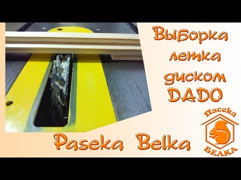 Видео: Выборка летка диском DADO