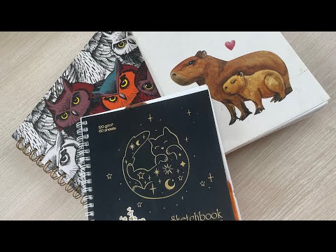 Видео: Обзор моих скетч буков мои первые скетчбуки Bullet journal Junk Journal лд обзор всех блокнотов