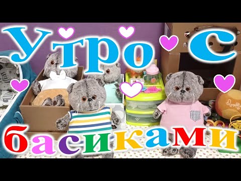 Видео: Утро с басиками.