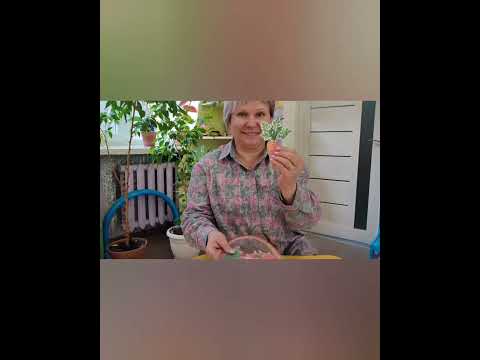 Видео: Малювання. Смачна морква для зайчика. Ранній вік 