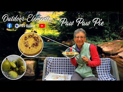 Видео: Пау-пау-пай | Элементы для отдыха на природе