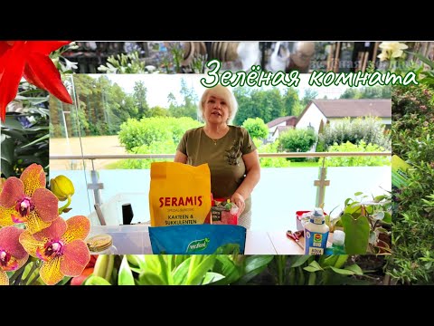 Видео: Пересадка без лишних хлопот: делаем счастливыми и цветы, и себя