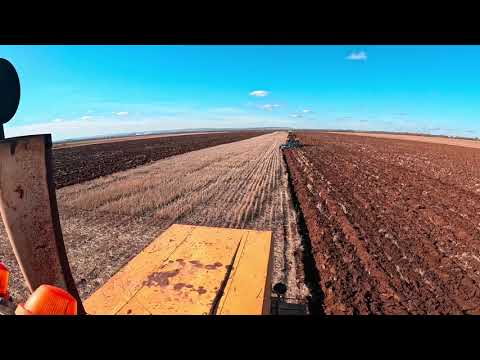 Видео: Пахота 2025 #к700 #сельскоехозяйство #кировец #сельхозтехника 