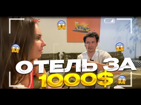 Видео: АЛАН УДИВИЛ ИСТОРИЯМИ ОБ АМЕРИКЕ | ЛУЧШИЙ ОТЕЛЬ ДЛЯ ДИМЫ И ЛИЗЫ