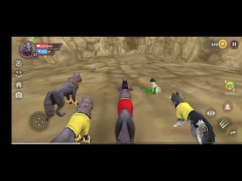 Видео: 31 жовтня 2025 р.