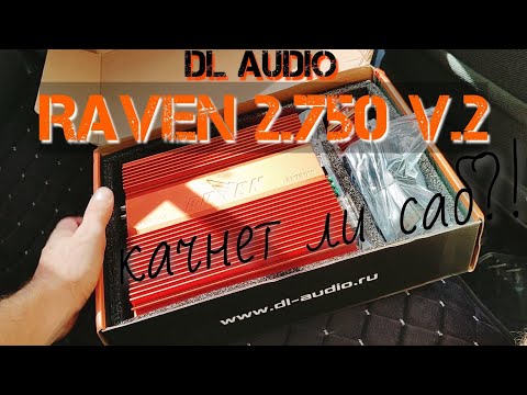 Видео: DL Audio Raven 2.750 v.2 - обзор на коленке.