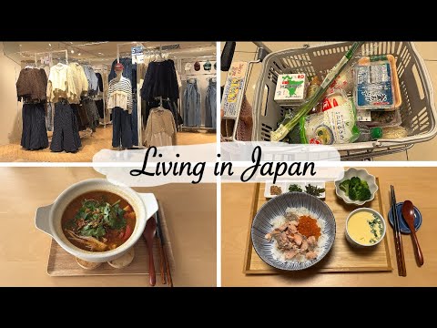 Видео: Шопинг в витринах, покупки в Kaldi и магазине «100 йен» | иностранная домохозяйка в Японии