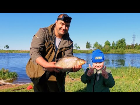 Видео: Рыбалка мечты / Рыба не дала сидеть на месте / Рыбное место / Рыбалка на донки / Удилище Осетр