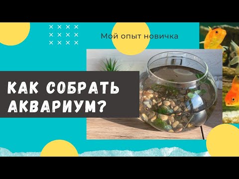 Видео: Как собрать аквариум ! Собираем первый круглый аквариум. Гуппи, золотая рыбка, креветки, улитки.